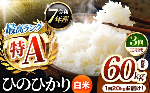 【 定期便 3回 】熊本県産 ひのひかり 白米 20kg | お米 米 こめ おこめ 精米 白米 ヒノヒカリ 20キロ ご飯 国産 国産米 定期 くまもと 熊本 熊本県 玉名市 玉名