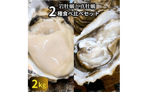 篠島の2種の天然殻付きカキ2kg(岩牡蠣&真牡蠣)食べ比べセット 生食用/CAS冷凍　海鮮BBQに!