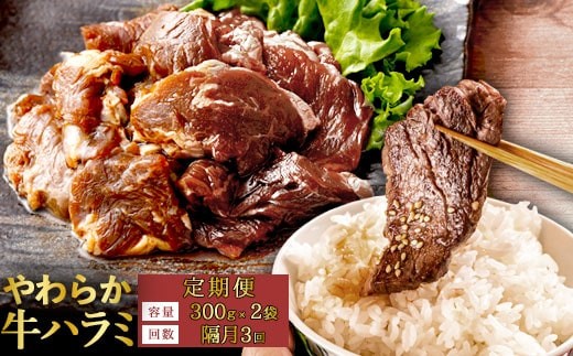 【隔月３回定期便】やわらか 牛ハラミ（サガリ）肉 極旨秘伝醤油タレ漬け（300g×2袋）【訳あり】ハラミ 牛肉  個包装 焼肉 AS-497