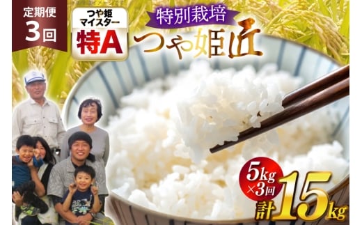 米 定期便 3回 令和7年産 厳選米 匠 特別栽培米 つや姫 5kg 計15kg [金子農園 山形県 高畠町 tk06ays950033] 精米 白米 米 お米 ブランド米 ごはん ご飯