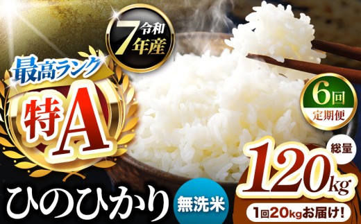 【 定期便 6回 】熊本県産 ひのひかり 無洗米 20kg | お米 米 こめ おこめ 精米 ヒノヒカリ 20キロ 国産 国産米 定期 くまもと 熊本 熊本県 玉名市 玉名