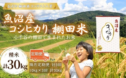 令和7年産 魚沼産コシヒカリ 棚田米 精米30kg（5kg×2袋×3回）定期便隔月発送【0002-RC08DB00-01】