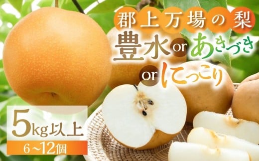 郡上大和の梨  先行予約 令和8年産 【9月中旬～12月上旬発送】豊水 あきづき にっこり 品種お任せ/ 食品 フルーツ 果物 和梨 梨 なし ナシ 15000円 G0086