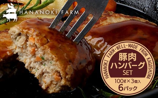 花の木農場 豚肉 ハンバーグ セット （100g×3個×6P） HK-4｜ 冷凍 ハンバーグ パック 豚肉 国産 ひき肉 お弁当 おかず 惣菜 手作り 農福連携 鹿児島県 南大隅町 花の木ファーム