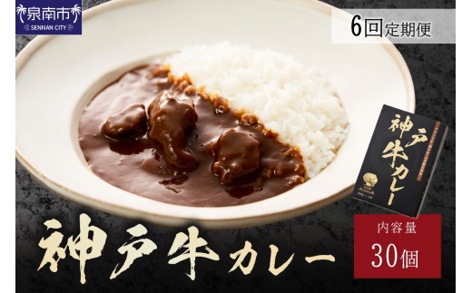 神戸牛カレー200g×30個セット 6ヶ月定期便【108A-007】