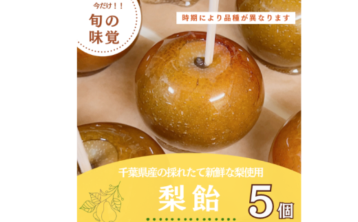 梨 飴 5個 なし ナシ 梨飴 なし飴 ナシ飴 フルーツ 果物 くだもの 旬 旬のフルーツ 旬の果物 旬のくだもの 新鮮 デザート スイーツ 千葉県産 フルーツアメ アメ あめ プレゼント 贈答 贈り物 母の日 父の日 お祝い Ｃｒｅｐｐｙ７ 千葉県 旭市 cps002