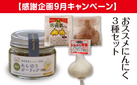 【感謝企画９月キャンペーン】おススメにんにく３種セット　【02402-0491】 2282558 - 青森県七戸町