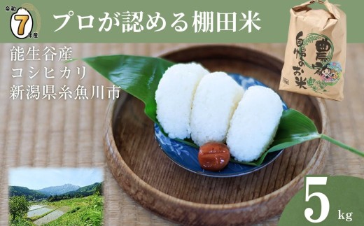 【2026年5月発送】令和7年産新米予約 新潟県能生谷産コシヒカリ 5kg プロも認める棚田米 農家直送 2025年産 JATs有限会社【新潟県 糸魚川市 米 お米 こめ コメ ご飯 ライス ふるさと納税米 ブランド米 おすすめ ギフト 5キロ 精米 白米 人気 食品 選べる配送月 先行予約】