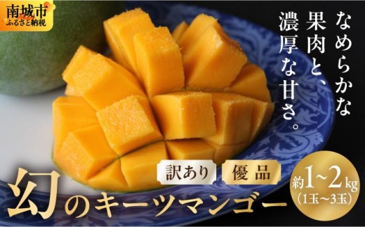 訳あり(家庭用)徳之島ミニマンゴー(混載)　4キロ【北海道発送不可】➀ 訳あり(家庭用)徳之島ミニマンゴー(混載) 4キロ【北海道発送別途