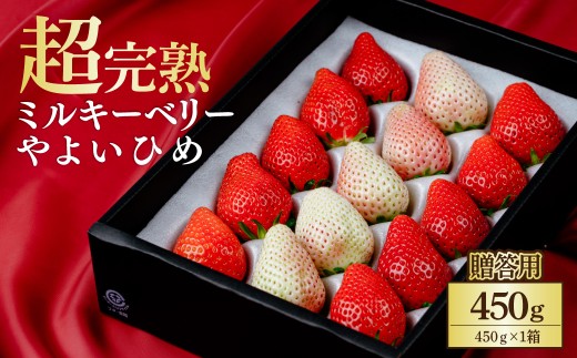 [先行受付:1月中旬以降発送]いちご 鈴木ファーム ギフト やよいひめ×ミルキーベリー 450g ×1箱 | いちご イチゴ 苺 やよいひめ ミルキーベリー 完熟 甘い あまい 果物 フルーツ 鈴木ファーム 栃木県 茂木町