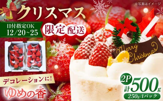 【12月21日お届け クリスマス用】いちご ゆめの香 500g（250g×2パック）長崎県/わたる農園 [42AABB005] 苺 イチゴ フルーツ 果物 ケーキ デコレーション 手作り XMAS トッピング 1461565 - 長崎県長崎県庁