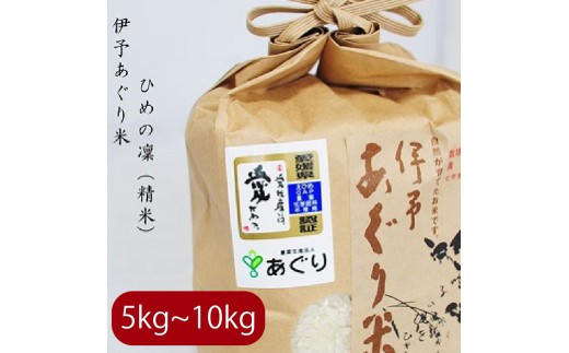 【選べるキロ数】米 精米 5kg 伊予あぐり米「ひめの凜」 令和7年産 米 農薬・化学肥料不使用 米 精米 令和7年産 米 お米 こめ 農薬・化学肥料不使用 こだわりのお米 愛媛県 松前町 松前 まさき 愛媛 えひめ おこめ 有限会社あぐり 愛媛県産米 松前町産米 美味しいお米   お米 贈答 贈り物 愛媛県 松前町 有限会社あぐり　 1466370 - 愛媛県松前町