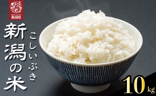 【先行予約】 令和7年産 こしいぶき 10kg コシヒカリ こしひかり 遺伝子を引き継ぐ ご飯 備蓄 コメ お米 米 こめ しんまい 新潟産 新潟米 新潟県 新潟 新発田 新発田市 国産 新発田市産 斗伸 toushin039 2122068 - 新潟県新発田市