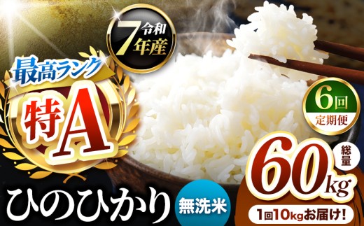 【 定期便 6回 】熊本県産 ひのひかり 無洗米 10kg | お米 米 こめ おこめ 精米 ヒノヒカリ 10キロ 国産 国産米 定期 くまもと 熊本 熊本県 玉名市 玉名