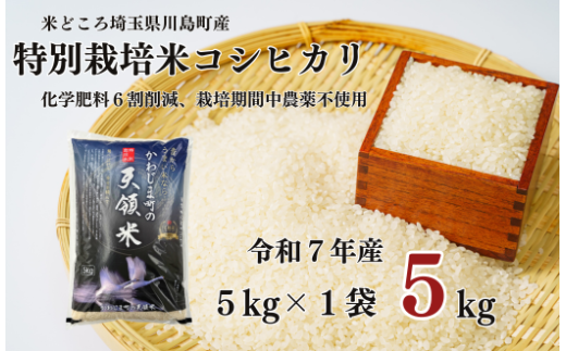 【先行受付】令和７年産米 ９月中発送予定　特別栽培米 コシヒカリ 白米 5kg （5kg×1袋）食味値80以上 栽培期間中農薬不使用 有機肥料 かわじま町の天領米 令和7年産 2025年産 小分け 米 コメ 安心 安全  減農薬 埼玉県認証 埼玉県 川島町