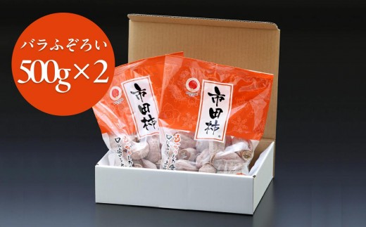 市田柿 バラ ふぞろい 500g パック × 2袋 ( 約1kg ) ＪＡみなみ信州ＤＭセンター | 柿 かき 干し柿 干しがき 市田柿 信州 国産 特産品 ドライフルーツ 甘い 果物 フルーツ くだもの 送料無料 ふるさと納税 長野県 飯田市