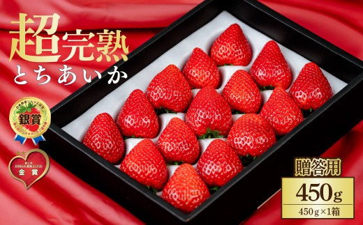 【先行受付:3月以降発送】いちご 鈴木ファームの完熟&朝どれ とちあいか ギフト450g×1箱 | いちご イチゴ 苺 とちあいか 完熟 甘い あまい 果物 フルーツ 贈答用 ギフト プレゼント 鈴木ファーム 栃木県 茂木町 2259510 - 栃木県茂木町