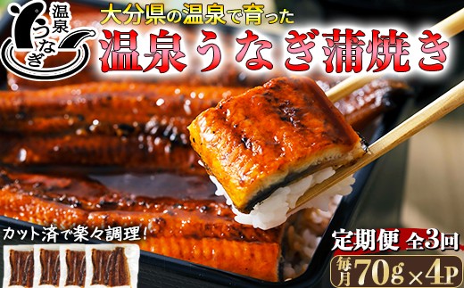＜定期便(毎月)全3回＞完全無投薬養殖！大分水産の温泉うなぎ蒲焼（カット）70g×4  ＜104-801＞ 2258171 - 大分県杵築市