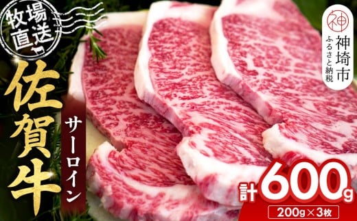 佐賀牛 サーロインステーキ200g×3枚計600g【佐賀牛 サーロインステーキ 牧場直送】(H122148)