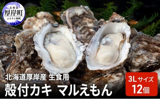 北海道厚岸産 生食用 殻付カキ 3Lサイズ  12個　マルえもん 魚貝類 海の幸 海のミルク 海鮮 国産 北海道産 オイスター つまみ お酒 あて 肴 生牡蠣 メルマガ掲載商品1 [№5863-1364]