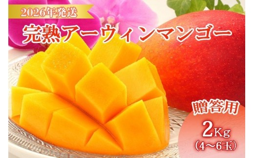 <先行予約2026年発送>宮古島産“完熟アーウィンマンゴー”《贈答用》2kg【福来多まつばらマンゴー園】(MF02) 2177084 - 沖縄県宮古島市