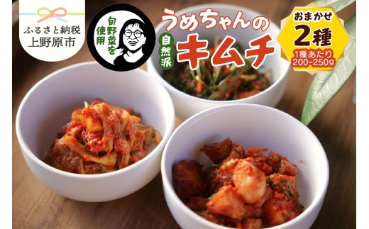 旬野菜で作るうめちゃんの自然派キムチ おまかせ2種