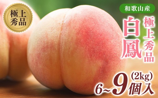 先行受付! 桃の王様[白鳳] 特秀品 約2kg 6〜9個入