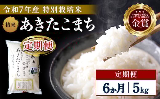 [定期便6ヶ月][令和7年産]特別栽培米 あきたこまち 精米 5kg[渡部 浩見][Q2101]