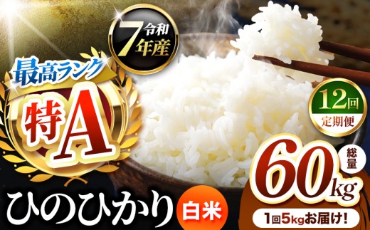 【 定期便 12回 】熊本県産 ひのひかり 白米 5kg | お米 米 こめ おこめ 精米 白米 ヒノヒカリ 5キロ ご飯 国産 国産米 定期 くまもと 熊本 熊本県 玉名市 玉名