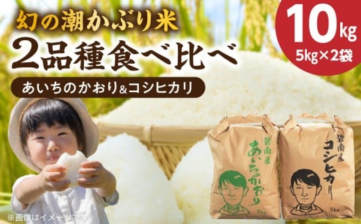 （予約受付）〈数量限定〉【幻の潮かぶり米】令和7年産新米 あいちのかおり&コシヒカリ2品種 食べ比べ10kg（5kg×2袋） 令和７年度産　新米　米 コメ 新米 あいち 愛知 かおり コシヒカリ こしひかり 予約 先行予約 数量限定 H073-009