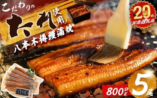 【志布志市制20周年記念】【数量限定】国産 八本木樽鰻の蒲焼(160g以上×5尾) うなぎ 鰻 ウナギ 5尾 国産 九州産 蒲焼き かばやき 冷凍 うな丼 うな重 ひつまぶし タレ 山椒 ランキング 人気 b5-192