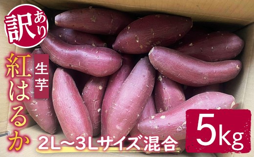 [予約受付中!][訳あり]サツマイモ(紅はるか) 5kg 2L〜3Lサイズ混合 訳あり わけあり さつまいも サツマイモ べにはるか 紅はるか 生芋 なまいも 常温 [2025年12月以降順次発送] [桑原農園][ho1580]