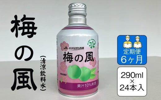 【定期便6ヶ月】梅の風(清涼飲料水) 290ml×24本入り【 神奈川県 山北町 】 2260005 - 神奈川県山北町
