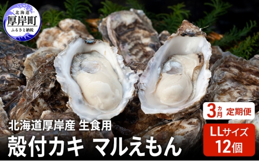 【 3ヵ月 定期便 】 北海道厚岸産 生食用 殻付カキ LLサイズ  12個　マルえもん 魚貝類 海の幸 海のミルク 海鮮 国産 北海道産 オイスター つまみ お酒 あて 肴 生牡蠣 メルマガ掲載商品1 [№5863-1368]