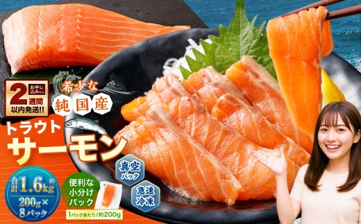 国産 トラウトサーモン 約1.6g （約200g×8パック） サーモン 新鮮 小分け 真空パック 急速凍結 国内養殖 冷凍 2254836 - 北海道小樽市