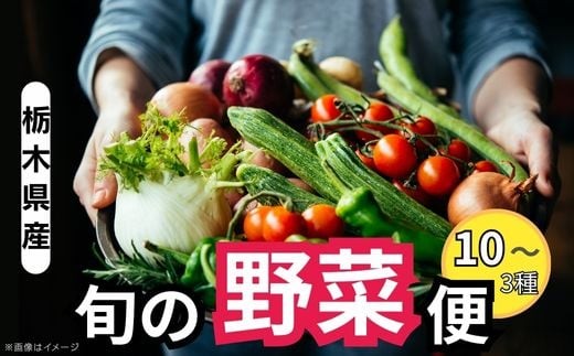 【定期便6回】栃木県産 旬の野菜 (果物) 便 3～10種 定期便あり 6回｜栃木県産 矢板市産 旬の野菜 フルーツ スイーツ デザート 果物 果実 産地直送 栃木県 矢板市 2246291 - 栃木県矢板市
