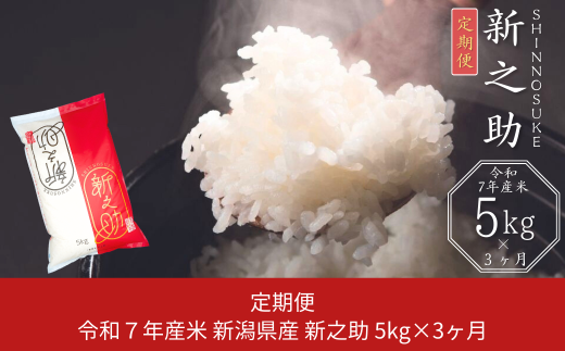 [定期便 5kg×3か月] 新潟県産 新之助 計15kg 3か月連続でお届け 令和7年産 [JAえちご中越] 【030S020】