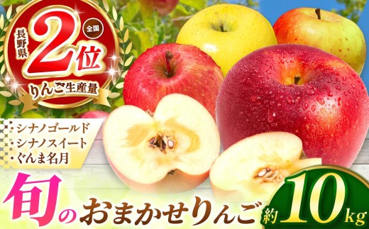 【先行予約】信州産 塩尻エールりんご！旬のおまかせりんご 約10kg(28～40玉)【9月中旬頃～発送予定】 シナノゴールド・シナノスイート・ぐんま名月から旬のりんごをお届け！ | 果物 くだもの フルーツ 林檎 りんご リンゴ シナノゴールド シナノスイート ぐんま名月 おまかせ  長野県 塩尻市