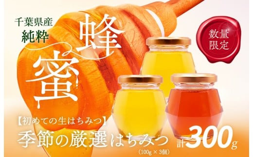 千葉県産「厳選純粋はちみつ」100g×3個【ランダムにセレクト】 【 ふるさと納税 ハチミツ 蜂蜜 はちみつ お菓子作り おかしづくり セット 千葉 大網白里市 送料無料 】 X010