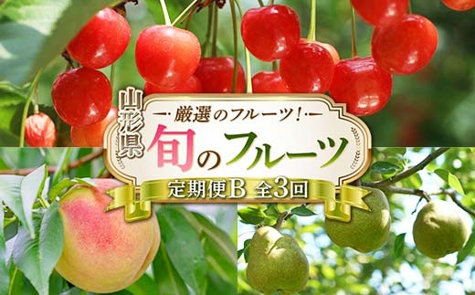 令和8年6月発送開始 山形県 厳選のフルーツ！ 山形県旬のフルーツ定期便B 全3回 FSY-2277