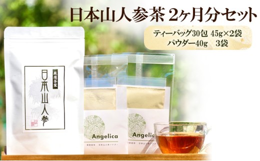★希少★日本山人参で健康に！お茶2か月分＋パウダー3袋