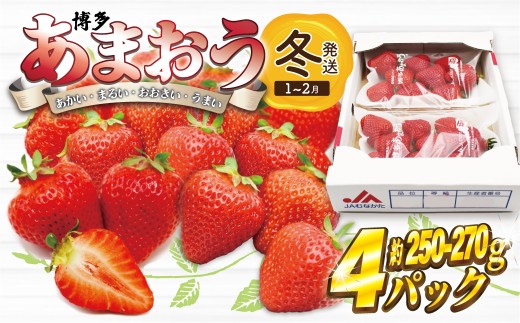 【先行予約】M868-1【2026年1月上旬より順次発送】博多あまおう 250g~270g×4パック