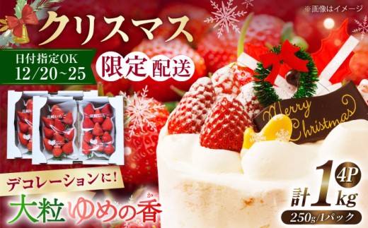【12月25日お届け クリスマス用】＜大粒＞いちご ゆめの香 約1kg（250g×4パック）長崎県/わたる農園 [42AABB006] 苺 イチゴ フルーツ 果物 ケーキ デコレーション 手作り XMAS トッピング 1461575 - 長崎県長崎県庁