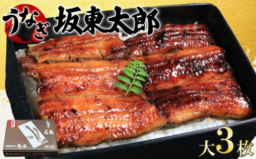 うなぎ 蒲焼 坂東太郎 大 3枚 鰻 鰻蒲焼 たれ 国産 化粧箱入り レトルト 惣菜 特別 人気 化粧箱入り タレ 山椒 スタミナ 大容量 簡単調理 真空パック お取り寄せ グルメ ギフト お土産 土用の丑の日 お中元 お歳暮 お祝い 贈答 食品 おいしい うな重 ひつまぶし ウナギ 魚 魚介 魚貝類 冷凍 送料無料 千葉県 銚子市 忠平