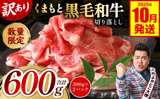 【訳あり】 くまもと黒毛和牛 切り落とし 600g（300g×2）（ 黒毛和牛 牛肉 和牛 ブランド牛 ブランド和牛 訳あり牛肉 ブランド牛肉 牛肉切り落とし ブランド牛切り落とし 小分け 熊本県産 くまもと 国産 人気 毎月数量限定 ）【2025年10月発送】