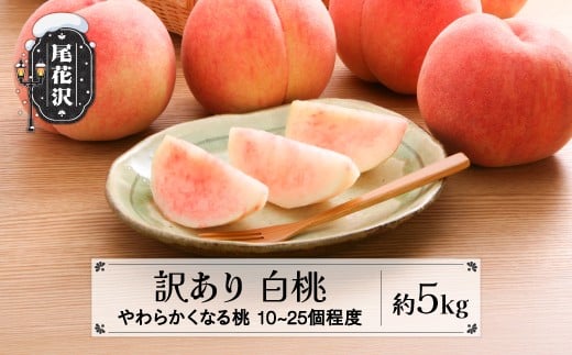 先行予約 訳あり 桃 白桃 約5kg (10～25個程度) 無印品 8月上旬頃~10月中旬頃発送 山形県産 フルーツ 果物 くだもの 2025年産 令和7年産 佐竹物産 sb-mohtw5