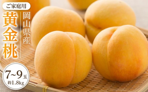 桃 2026年 ご家庭用 おかやま の 黄金桃 約1.8kg（7～9玉） もも モモ 岡山県産 国産 フルーツ 果物