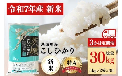 【3ヶ月定期便】令和7年産 新米 コシヒカリ 米 10kg (5kg×2袋) 計30kg 白米 こめ こしひかり 国産 国産米 取り寄せ ごはん ご飯 コメ お取り寄せ お弁当 弁当 おにぎり 産地直送 特産  ギフト プレゼント 贈り物 茨城県 笠間市 いばらき