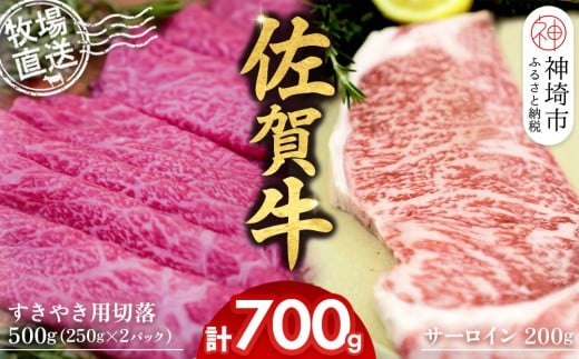佐賀牛 サーロインステーキ200g×1枚計200g すきやき用切落250g×2パック計500g【佐賀牛 サーロイン ステーキ すきやき 切落し 高級部位 赤身肉 霜降り 小分け】(H122126)