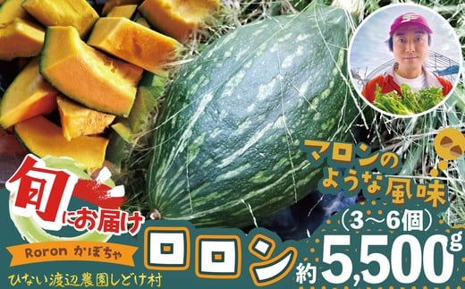 カボチャ 旨味がトロけるロロンで幸せな一時を 約5500g　100P3261 / 東北 秋田 大館 野菜 新鮮 農産物 農家 かぼちゃ カボチャ ロロン ろろん 農家直送 シチュー プリン 2314920 - 秋田県大館市